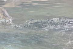 Longleat-011