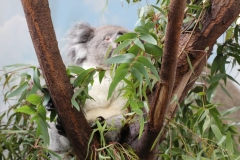 Longleat-012