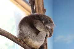 Longleat-014