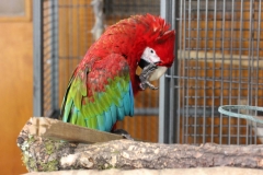 Longleat-026