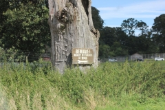 Longleat-042