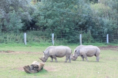 Longleat-056
