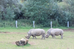 Longleat-057
