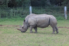 Longleat-059