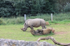 Longleat-060