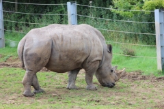 Longleat-061