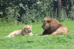 Longleat-074