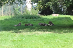 Longleat-077