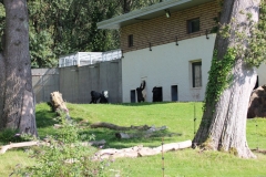 Longleat-107