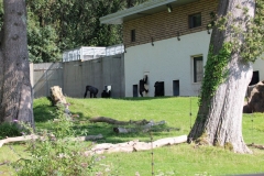 Longleat-108