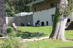 Longleat-109