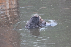 055