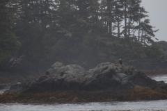 Sitka012