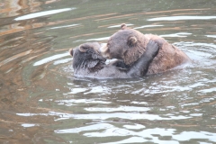 Sitka079
