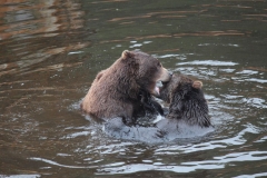 Sitka083