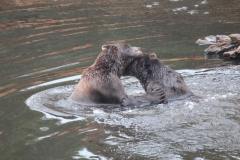 Sitka086