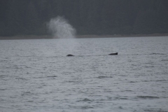Icy-Strait-008