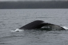 Icy-Strait-021