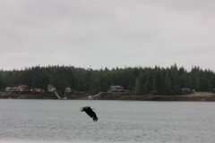 202208 - Alaska