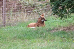 Yorkshire-008