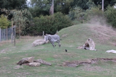 Yorkshire-023