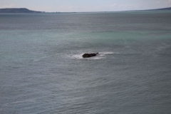 Durdle-003