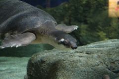 Oceanarium-010