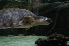Oceanarium-013