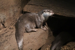 Oceanarium-026