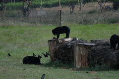Woburn-003