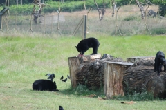 Woburn-004