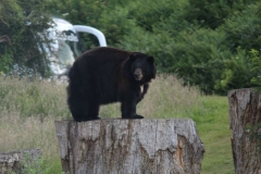 Woburn-006