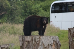 Woburn-007