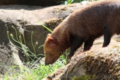 Woburn-025