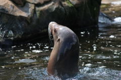 Woburn-029