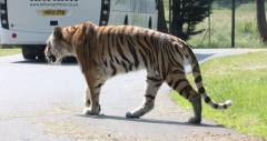 Woburn-002