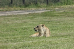 Woburn-011