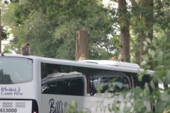 Woburn-013