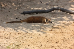 Woburn-020
