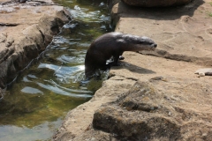 Woburn-027
