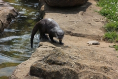 Woburn-028