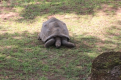 Woburn-029