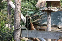 Woburn-030