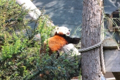 Woburn-032