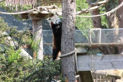 Woburn-034