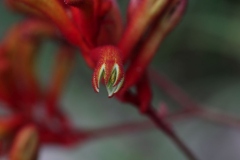 Eden-058