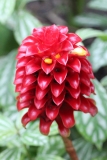 Eden-072