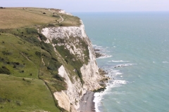 Dover-007