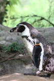 Twycross-002