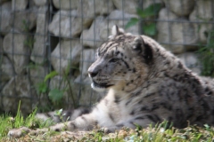 Twycross-072